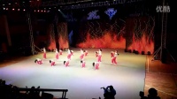 舞动中国广场舞比赛视频之十六