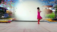 2016最新广场舞《西藏情歌》支英广场舞 有教学和背面