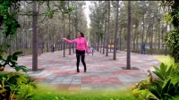 《摇太阳》金灿灿原创广场舞，北京紫梦广场舞学跳。_标清