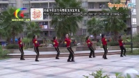 杨丽萍广场舞《十分钟》街舞风格健身操