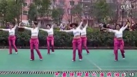 大家一起来（正反面）广场舞2016最新广场舞健身操_标清
