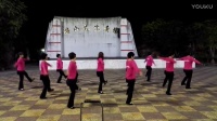 湖山广场~最炫中国梦(排舞)VID_20170202_211152