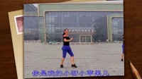 小苹果广场舞教学视频大全 分解动作_flv