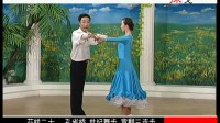 20杨艺交谊舞 孔雀桥世纪舞步背翻三连步杨艺广场舞