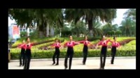 广场舞 中国心 舞蹈教学视频