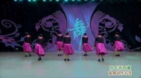 紫蝶踏歌广场舞开车游西藏背面展示1