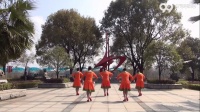 小丽子明广场舞流浪的牧人正背表演与动作分解1
