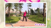 广西廖弟健身广场舞 寸草心 背面展示与动作分解 个人版