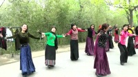 紫竹院相约紫竹广场舞；北京的金山上