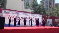 秀水尚街首届广场舞大赛，县一卡通旗袍歌舞团表演的（水乡温柔）