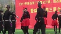 2017陕西省广场舞公开赛-咸阳市赛区-乾县代表队舞蹈