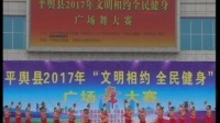 河南女人花广场舞2017年比赛二等奖【福门开好运来】