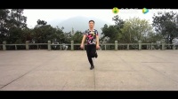 舞蹈视频 - 相伴一生 (武阿哥广场舞版)_j0023t70izp_1_0 [mqms]