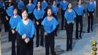 迪斯科广场舞  咪咕咪咕  32步  莱州舞动青春舞蹈队_标清