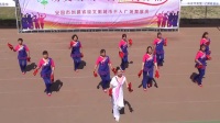 共创文明城市  千人广场舞活动 二  南张庄舞蹈队与花语老师共舞《喜从天降龙凤成祥》