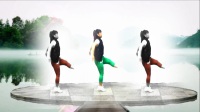 大堰舞乐乐广场舞【动了我的情编舞杨丽萍32步人们舞蹈2017.5月份