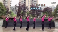 简单易学的现代舞最炫民族风广场舞