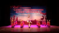 17年大兴区舞蹈大赛一等奖-红星舞蹈团-天山情