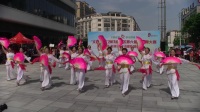 广场舞：《山茶花》，由常德西堤广场舞蹈队演出