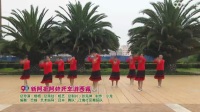 广场舞大妹子歌在飞广场舞 (2)