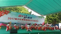黄阁荔枝文化旅游节开幕，囡囡表演《麒麟豉舞天》
