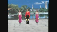 王广成广场舞中国美广场舞视频下载(6)