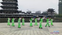 云裳广场舞舞动中国广场舞