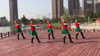 《爱疯了 正背表演与动作分解》安徽绿茶飞舞广场舞