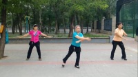 119视频学舞蹈《红马鞍》-苏飘逸广场舞