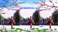 滨海新区汉沽和悦广场舞（白狐）舞韵瑜伽--演示；烟雨蒙蒙