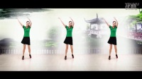 《小花DJ》 简单广场舞教学 广场舞视频_高清_高清