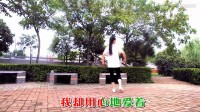 葬心 応子广场舞 含教学 2017最新广场舞