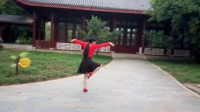 刘满广场舞《美丽草原我的家》背面。编舞黄晓虹老师
