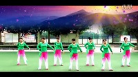 《梅花泪》 简单广场舞教学 广场舞视频_标清