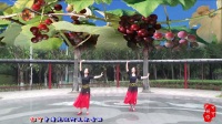 广西柳州幸福广场舞队二人组合演绎【新阿瓦尔古丽】