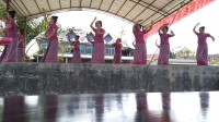 傣族舞蹈
广场舞   民族舞