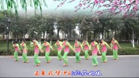151宁乡 小孟广场舞 健身舞 桃花姑娘