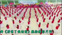 中国排舞广场舞《厉害了我的国》千人广场舞展演(南京站)在浦口青奥公园圆满成功！