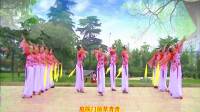 南阳和平广场舞系列--再秀《江南思韵》16人队形版