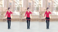 中国梦之队第十三套《第四节》表演胡月秀广场舞队，