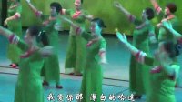 情系大草原 湖南衡阳东洲岛健身舞蹈队表演(繁体字幕)