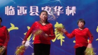 临西县举办首届农民丰收节广场舞《中国龙舞起来》