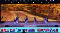 （28）2018年全国广场舞大赛总决赛（武汉）