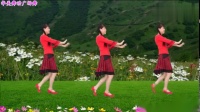 华美舞动广场舞《打猪草》选段对花，经典黄梅戏，真好听