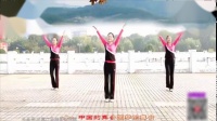 《中国舞台》背面演示（清秋、云裳、肖肖）云裳广场舞团队出品