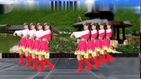 华美舞动广场舞《站在草原望北京》老歌新跳，好听好看