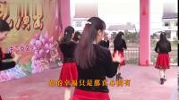策巴子广场舞-《你牛什么牛》武汉江夏区法泗镇