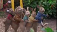 兔子舞 可爱颂 现在的兔子都成精了吗?按惯例猜猜是哪部电影？