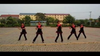 天马岛广场舞——凤凰飞 视频