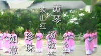 《梨花颂》编舞杨桂凤，龙川人民广场舞蹈队演出。